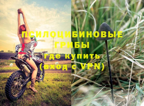стафф Армянск
