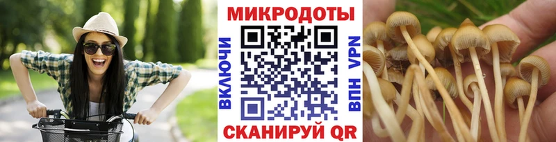 Псилоцибиновые грибы мицелий Лобня