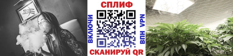 МАРИХУАНА семена  Лобня 